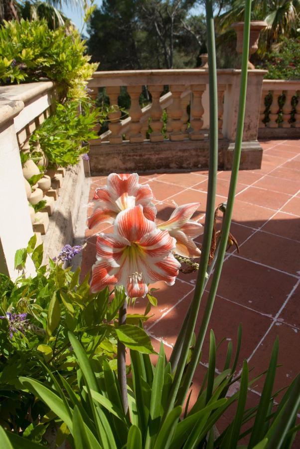 Casa De Las Vistas Palma Extérieur photo
