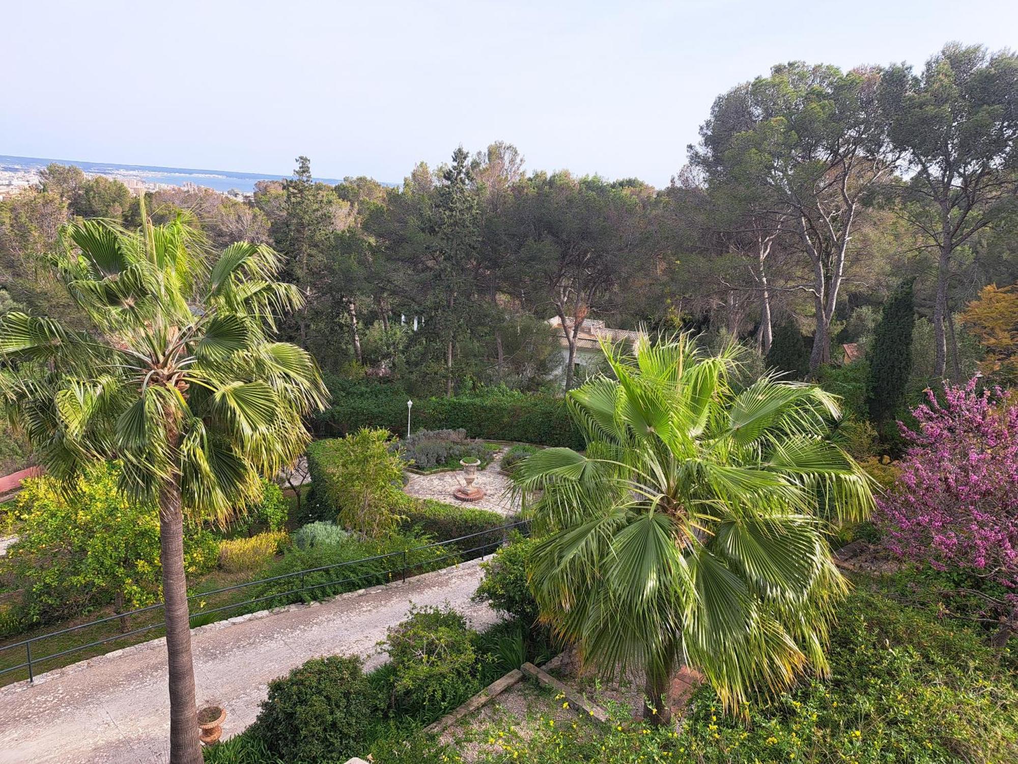 Casa De Las Vistas Palma Extérieur photo