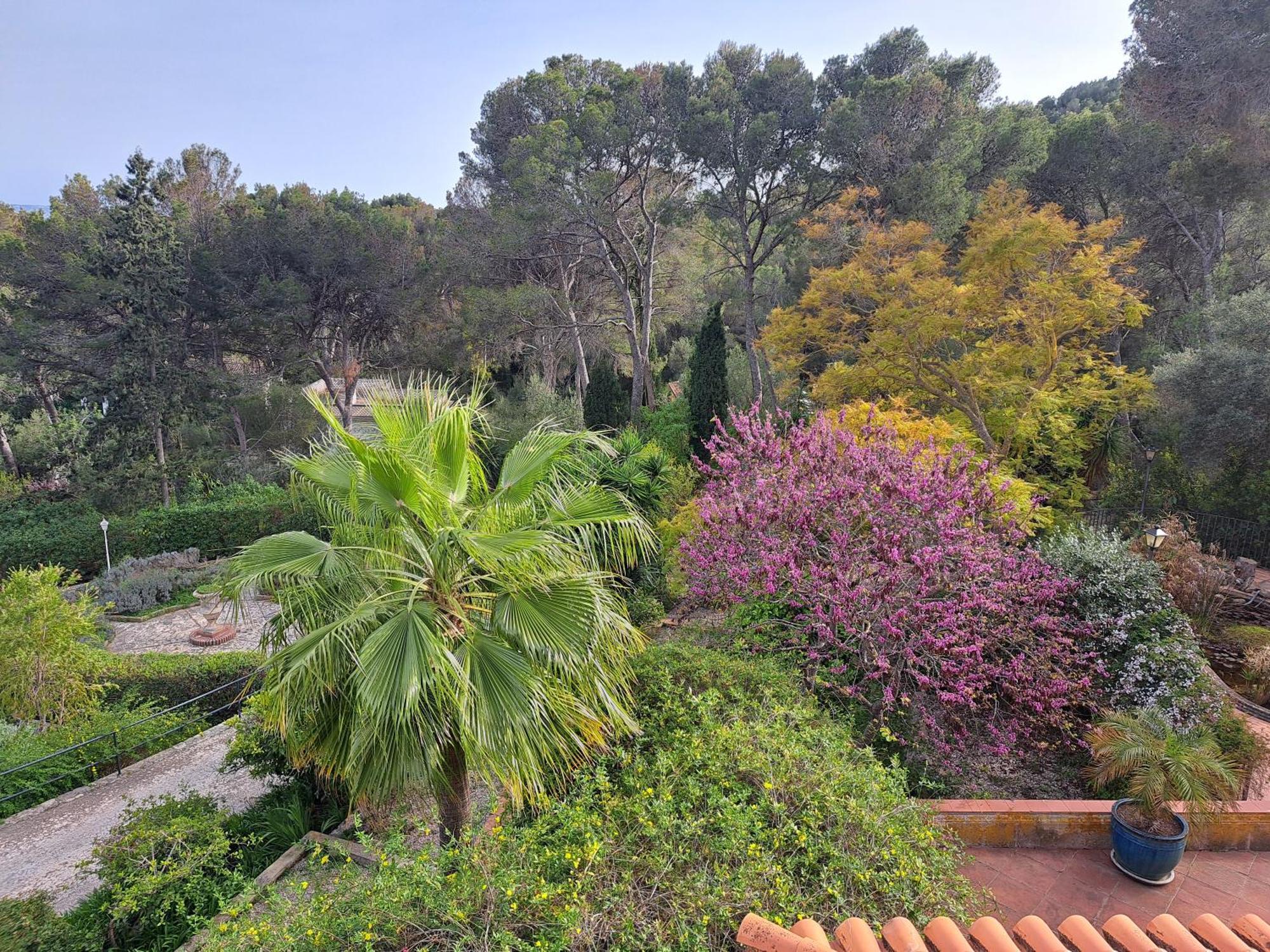 Casa De Las Vistas Palma Extérieur photo
