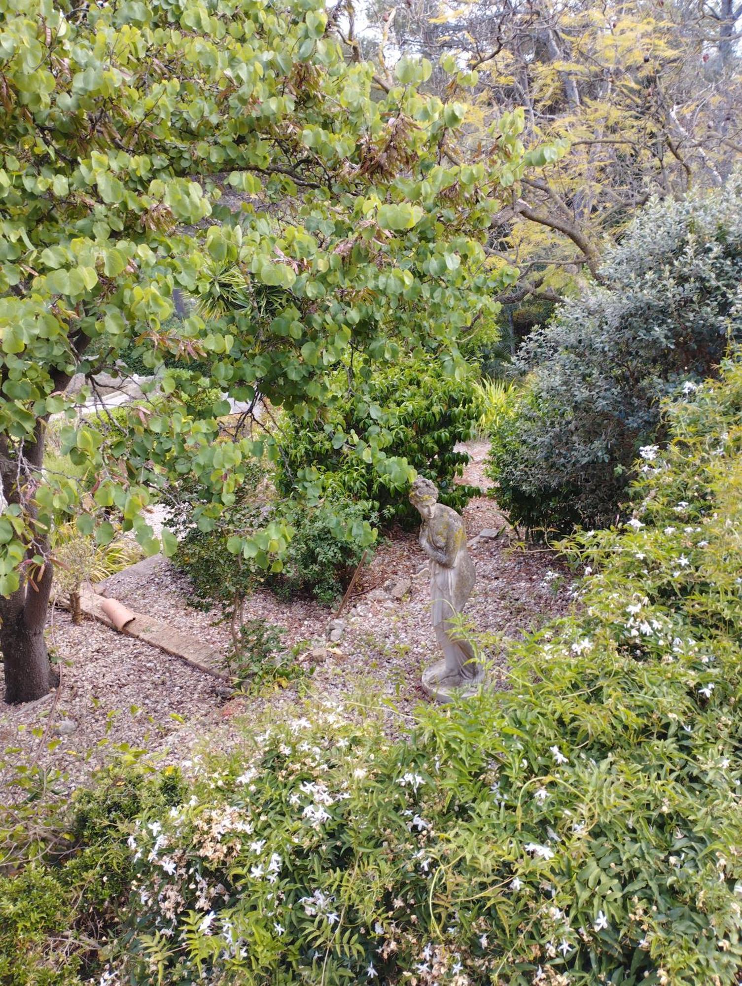 Casa De Las Vistas Palma Extérieur photo