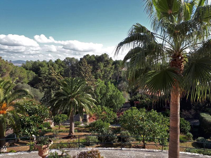 Casa De Las Vistas Palma Extérieur photo